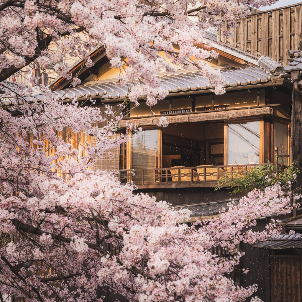 日本櫻花 季Japanese Cherry Blossom Season
「迎接日本春季,尋覓櫻花海之旅:東京、京都、大阪等城市必遊景點推薦」
春季到來之際, 日本櫻花 開始綻放,這也意味著日本春季旅遊的開始。 東京、京都、大阪等城市是每年春季最受歡迎的旅遊目的地,遊客們可以在粉色的花瓣中享受獨特的日本文化,一起欣賞壯麗的櫻花海。