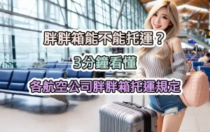 胖胖箱能不能托運？3分鐘看懂各航空公司胖胖箱托運規定
