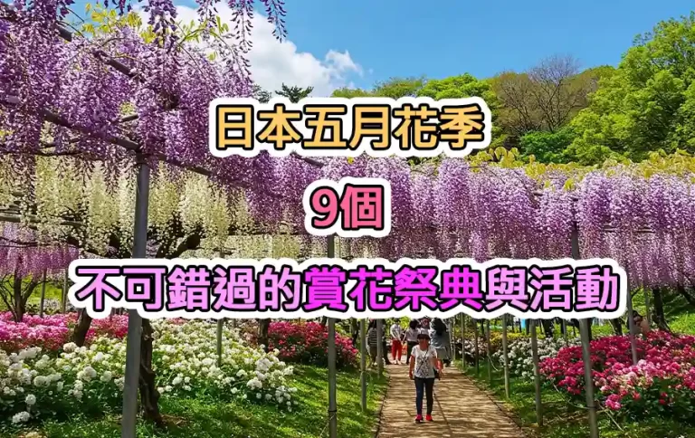 日本五月花季：9個不可錯過的賞花祭典與活動
