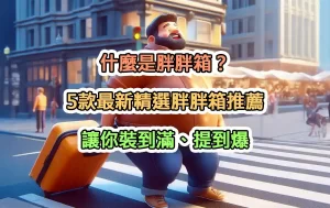 什麼是胖胖箱？5款最新精選胖胖箱推薦，讓你裝到滿、提到爆