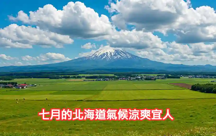 七月的北海道氣候涼爽宜人
