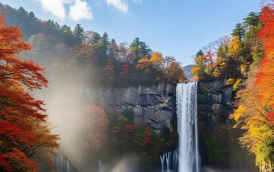 華嚴瀑布周邊的楓葉